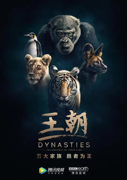 《王朝 第一季》：宇宙史诗级震撼！看完才懂，生命起源的真相藏在这！