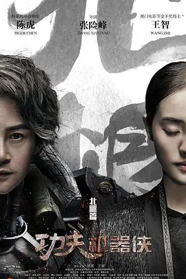 《功夫机器侠之北腿》动作片评测：传统武术与硬核科幻的尴尬碰撞